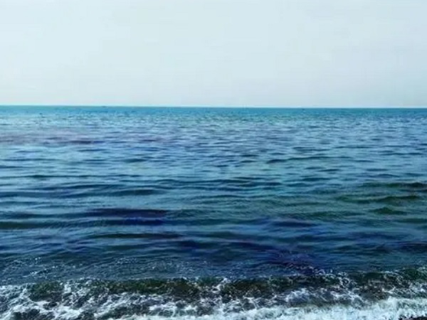 日本核廢水將排海-影響何以估量？